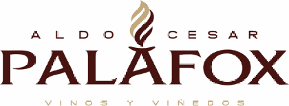 Aldo César Palafox Vinos y Viñedos